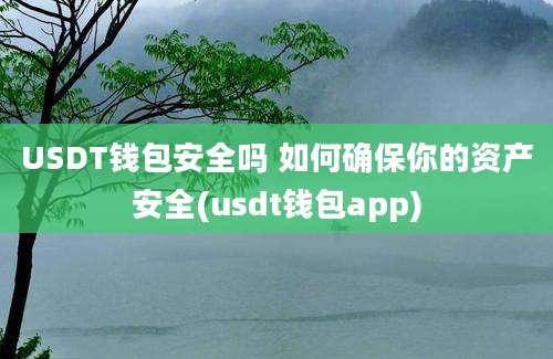 USDT钱包安全吗 如何确保你的资产安全(usdt钱包app)