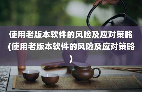 使用老版本软件的风险及应对策略(使用老版本软件的风险及应对策略)