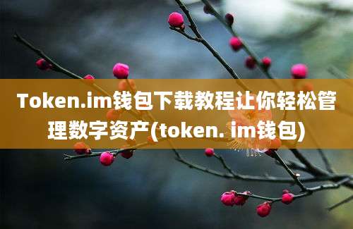 Token.im钱包下载教程让你轻松管理数字资产(token. im钱包)