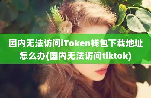 国内无法访问iToken钱包下载地址怎么办(国内无法访问tiktok)