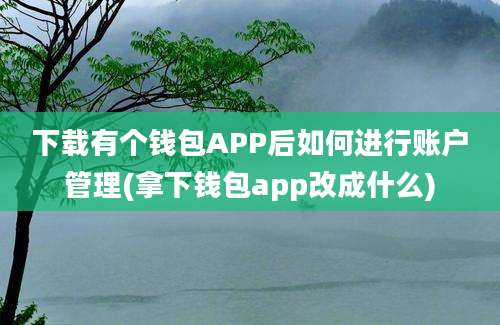 下载有个钱包APP后如何进行账户管理(拿下钱包app改成什么)