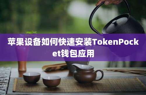 苹果设备如何快速安装TokenPocket钱包应用