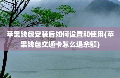 苹果钱包安装后如何设置和使用(苹果钱包交通卡怎么退余额)