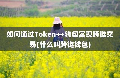 如何通过Token++钱包实现跨链交易(什么叫跨链钱包)