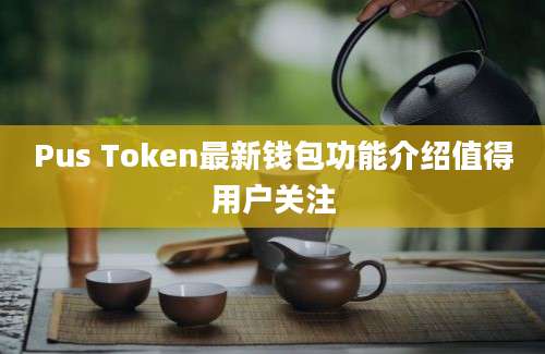 Pus Token最新钱包功能介绍值得用户关注