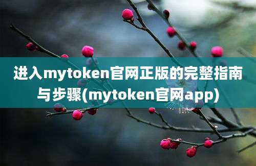 进入mytoken官网正版的完整指南与步骤(mytoken官网app)