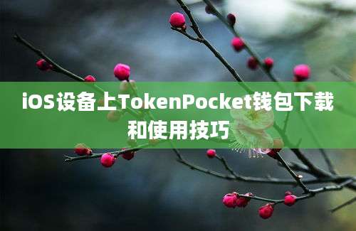 iOS设备上TokenPocket钱包下载和使用技巧