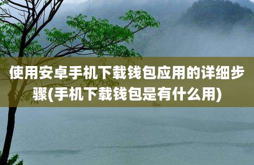 使用安卓手机下载钱包应用的详细步骤(手机下载钱包是有什么用)