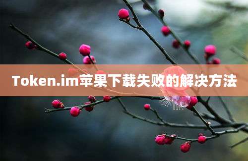 Token.im苹果下载失败的解决方法