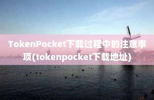 TokenPocket下载过程中的注意事项(tokenpocket下载地址)