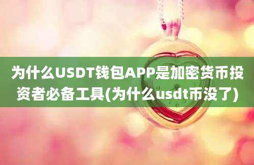 为什么USDT钱包APP是加密货币投资者必备工具(为什么usdt币没了)