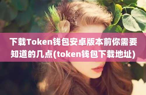 下载Token钱包安卓版本前你需要知道的几点(token钱包下载地址)