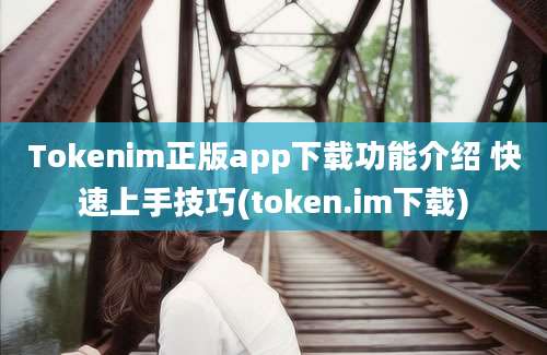 Tokenim正版app下载功能介绍 快速上手技巧(token.im下载)