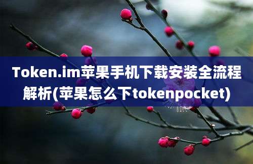 Token.im苹果手机下载安装全流程解析(苹果怎么下tokenpocket)