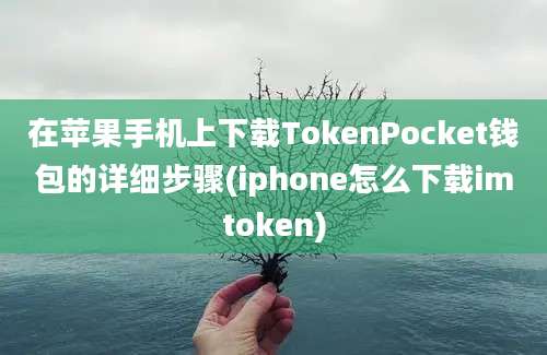 在苹果手机上下载TokenPocket钱包的详细步骤(iphone怎么下载imtoken)