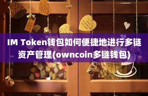 IM Token钱包如何便捷地进行多链资产管理(owncoin多链钱包)