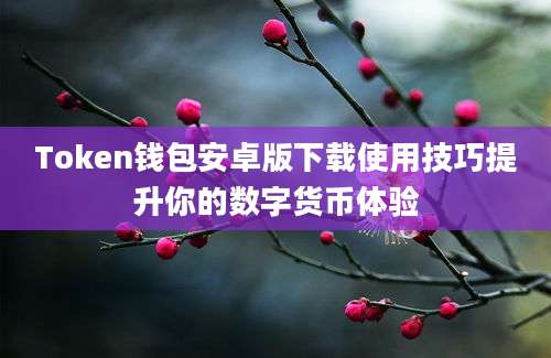 Token钱包安卓版下载使用技巧提升你的数字货币体验