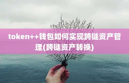 token++钱包如何实现跨链资产管理(跨链资产转换)