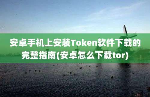 安卓手机上安装Token软件下载的完整指南(安卓怎么下载tor)