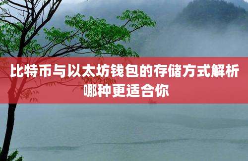 比特币与以太坊钱包的存储方式解析 哪种更适合你