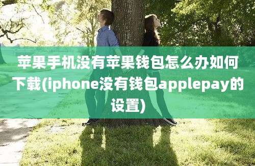 苹果手机没有苹果钱包怎么办如何下载(iphone没有钱包applepay的设置)