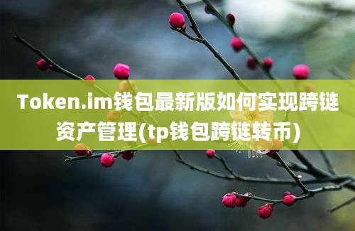 Token.im钱包最新版如何实现跨链资产管理(tp钱包跨链转币)