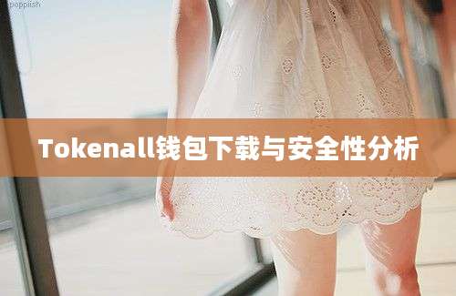 Tokenall钱包下载与安全性分析