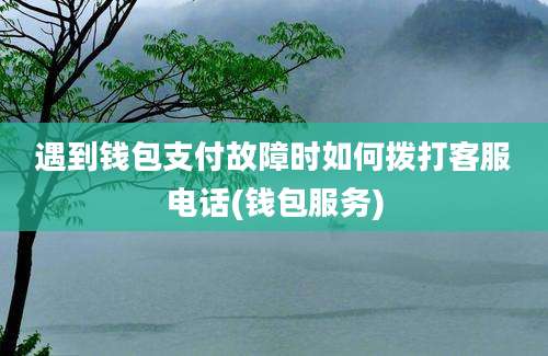 遇到钱包支付故障时如何拨打客服电话(钱包服务)