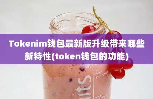 Tokenim钱包最新版升级带来哪些新特性(token钱包的功能)