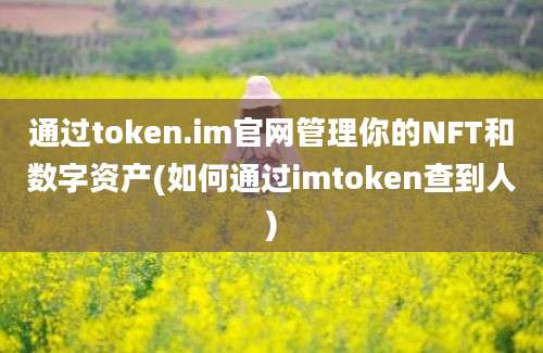 通过token.im官网管理你的NFT和数字资产(如何通过imtoken查到人)