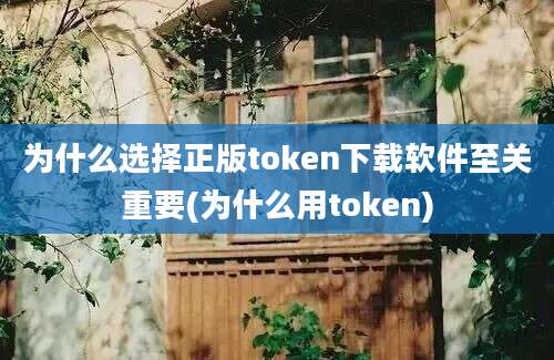 为什么选择正版token下载软件至关重要(为什么用token)