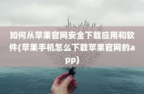 如何从苹果官网安全下载应用和软件(苹果手机怎么下载苹果官网的app)