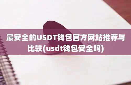 最安全的USDT钱包官方网站推荐与比较(usdt钱包安全吗)