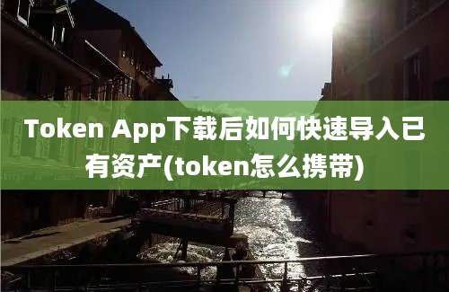 Token App下载后如何快速导入已有资产(token怎么携带)