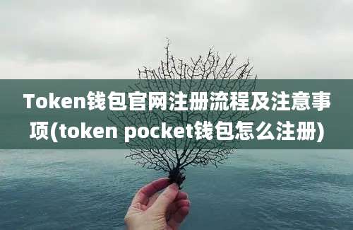 Token钱包官网注册流程及注意事项(token pocket钱包怎么注册)