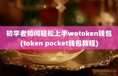 初学者如何轻松上手wotoken钱包(token pocket钱包教程)