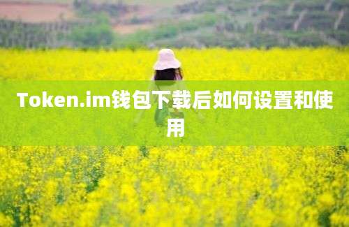 Token.im钱包下载后如何设置和使用