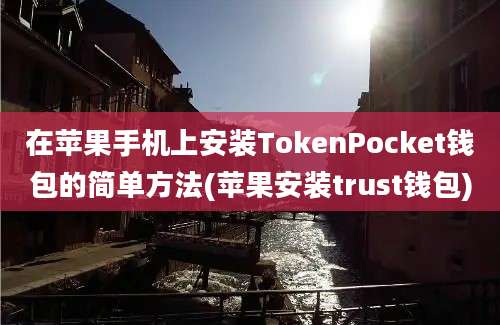 在苹果手机上安装TokenPocket钱包的简单方法(苹果安装trust钱包)