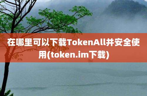 在哪里可以下载TokenAll并安全使用(token.im下载)