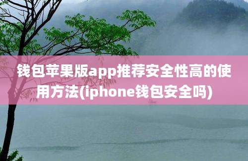 钱包苹果版app推荐安全性高的使用方法(iphone钱包安全吗)