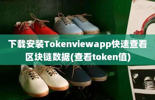 下载安装Tokenviewapp快速查看区块链数据(查看token值)