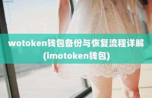 wotoken钱包备份与恢复流程详解(imotoken钱包)