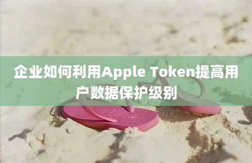 企业如何利用Apple Token提高用户数据保护级别