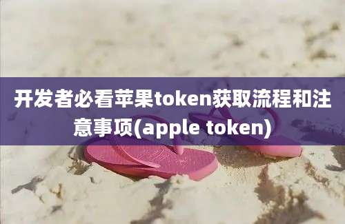 开发者必看苹果token获取流程和注意事项(apple token)