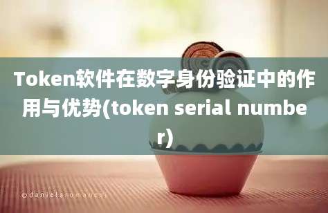 Token软件在数字身份验证中的作用与优势(token serial number)