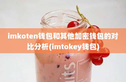 imkoten钱包和其他加密钱包的对比分析(imtokey钱包)