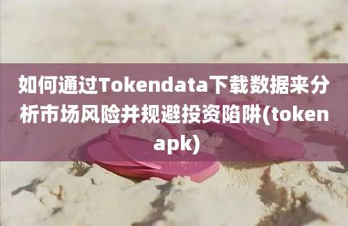 如何通过Tokendata下载数据来分析市场风险并规避投资陷阱(token apk)