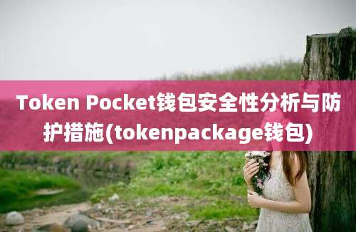 Token Pocket钱包安全性分析与防护措施(tokenpackage钱包)