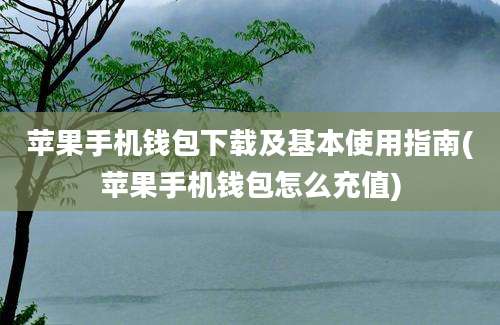 苹果手机钱包下载及基本使用指南(苹果手机钱包怎么充值)