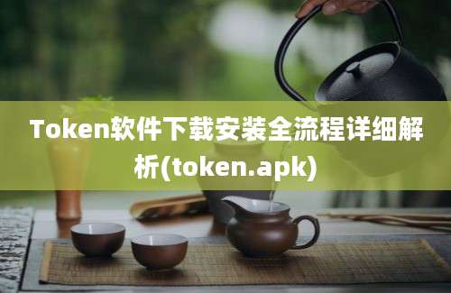 Token软件下载安装全流程详细解析(token.apk)